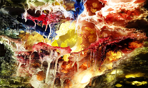 什么是慧根善根？南无羌佛佛法与常规佛法的区别？